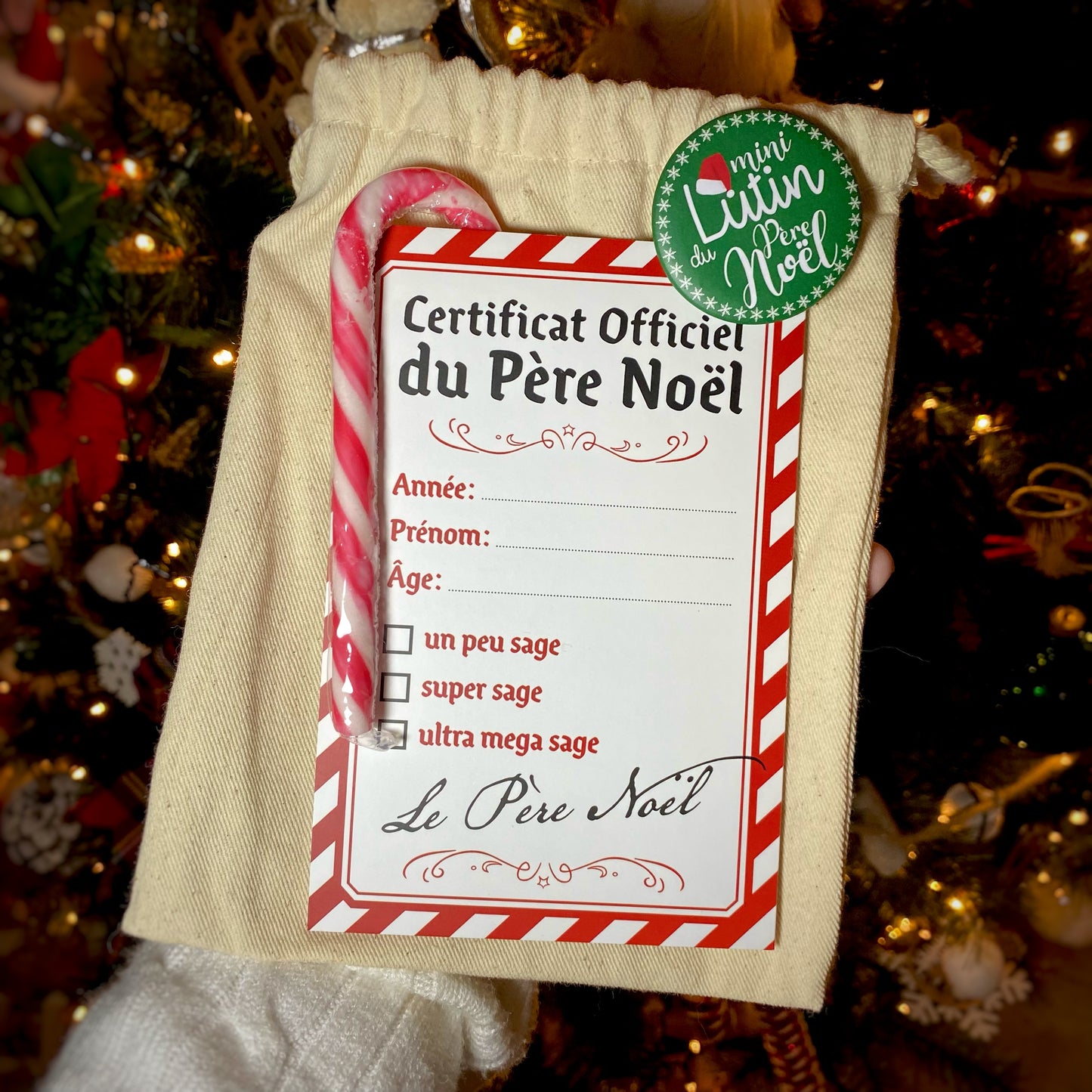 Le rapport du Père Noël